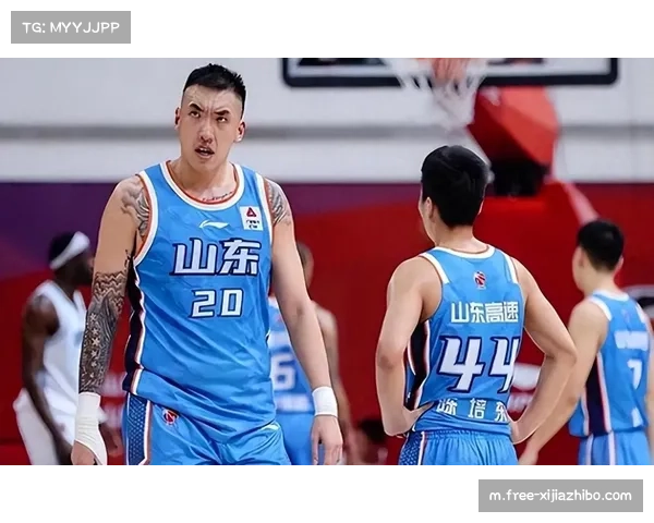 山东高速内线优势明显，陶汉林篮板保护作用突出